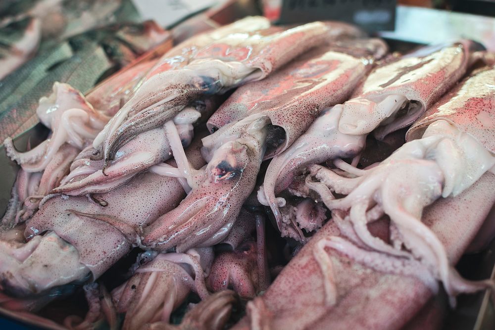 Squids at a fish market