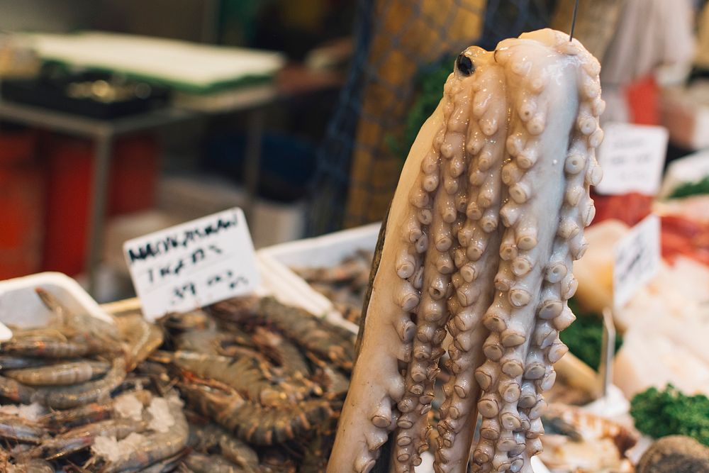Octopus and fish being sold in a market