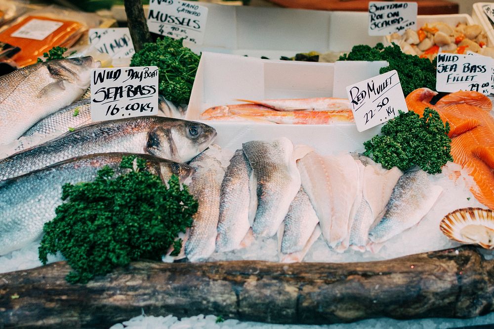 Different types of fish on the offer at a fish market