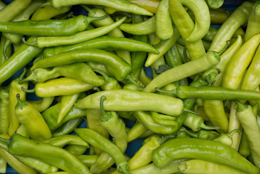 Closeup of broad green chilies