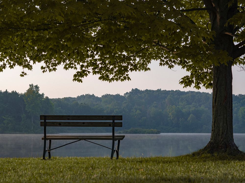 Park bench by a quiet lake