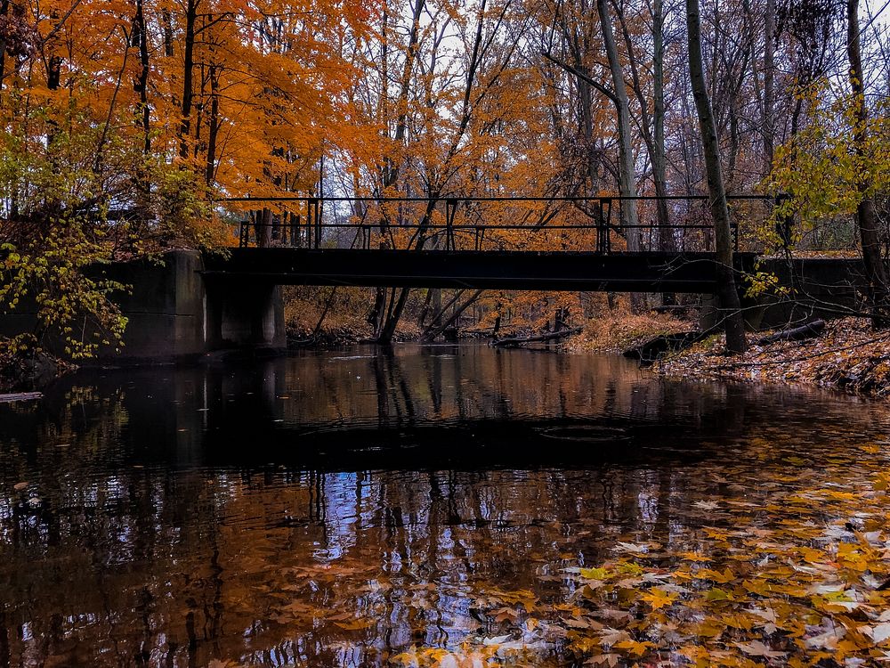 Bridge over a stream in For-Mar Nature Preserve & Arboretum in USA