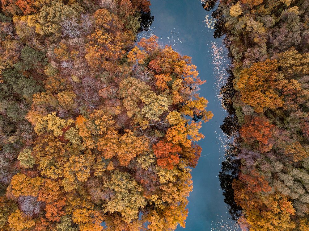 Drone view of nature in autumn