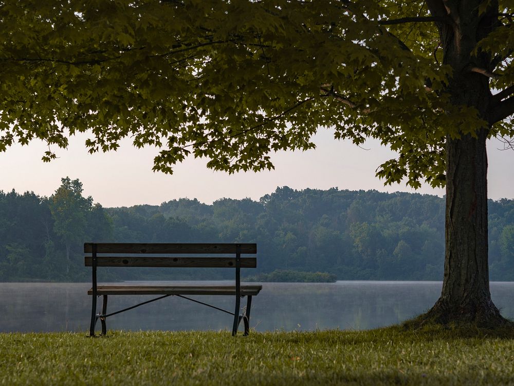 Empty bench by the lake