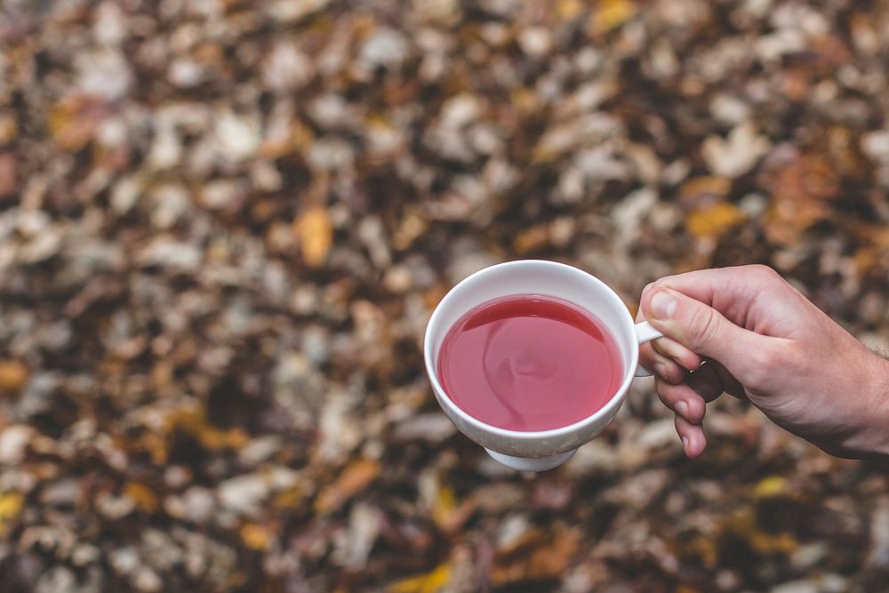 Free man holding pink herbal tea cup over autumn leaves photo, public domain beverage CC0 image.