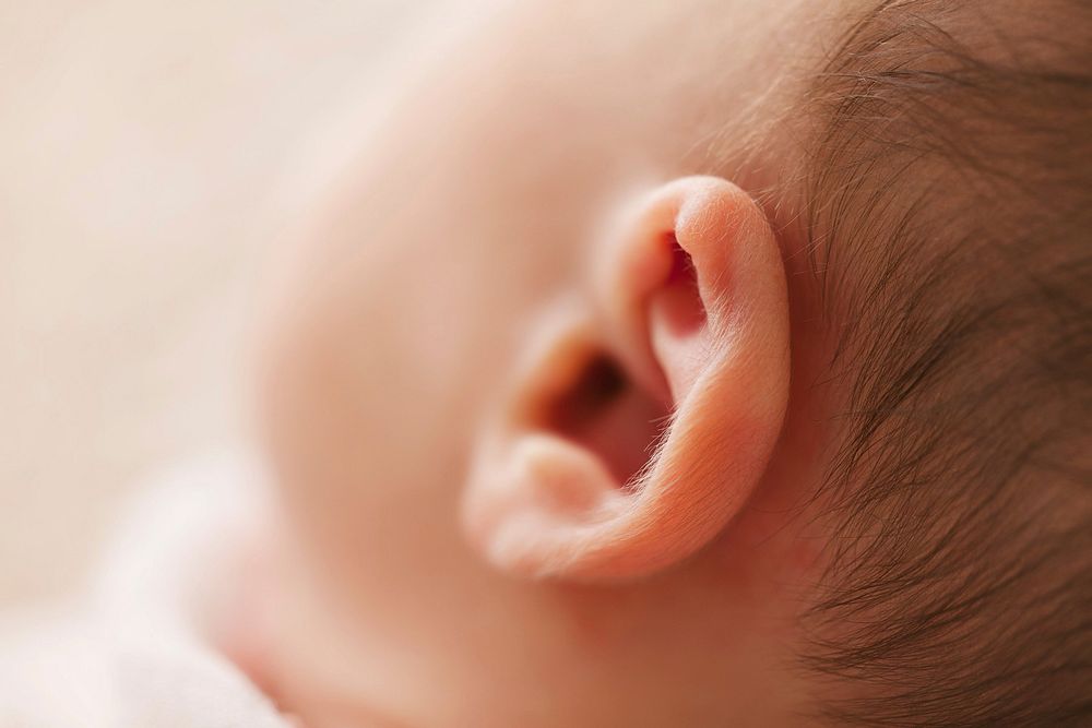 Free closeup baby ear image, public domain CC0 photo.