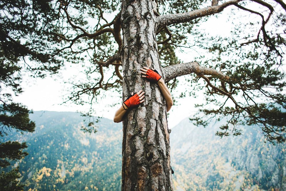 Free red glove person hugging tree image, public domain human CC0 photo.