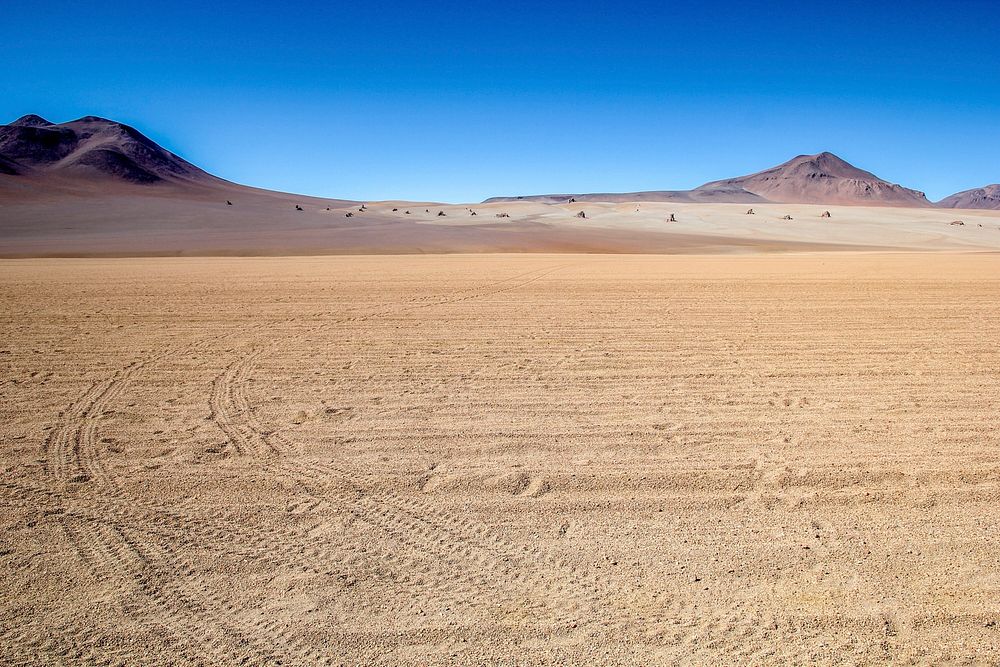 Empty desert scene with tire tracks on the dirt.