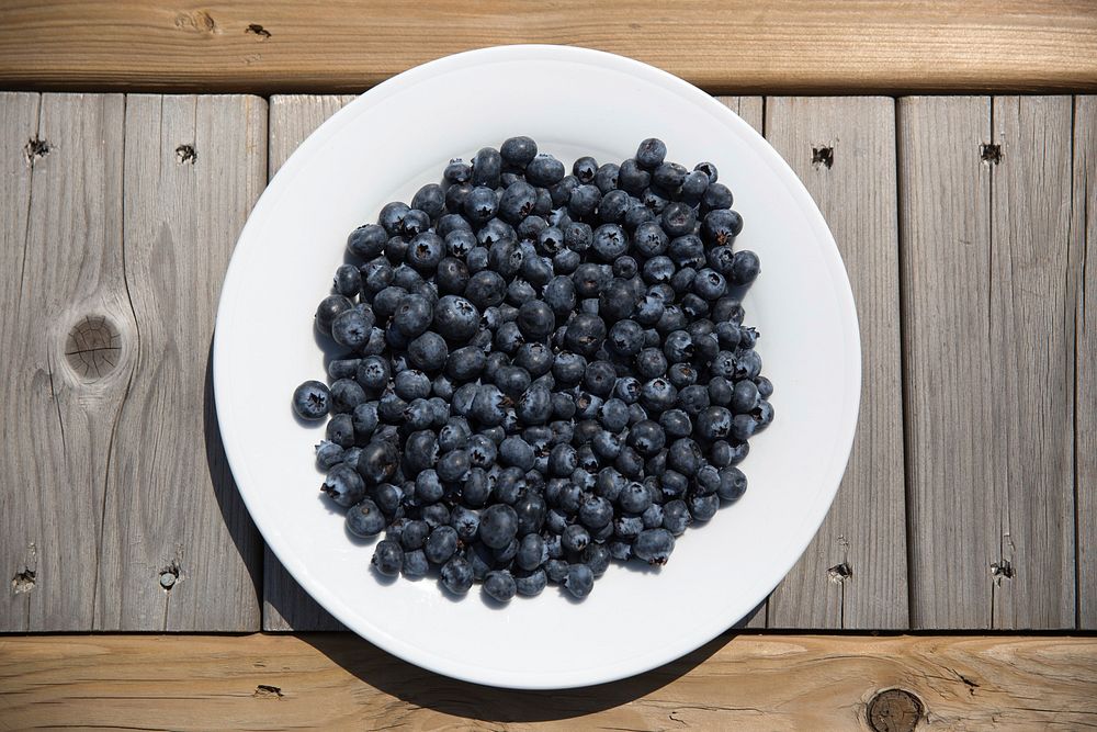 Top view of a plate of blueberries.