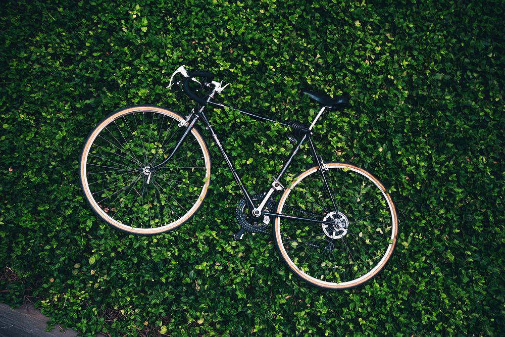 Free bicycle in a bush image, public domain vehicle CC0 photo.