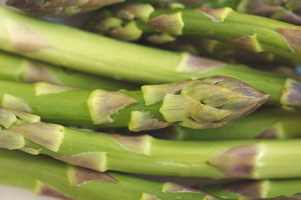 Closeup of fresh asparagus pile, public domain CC0 photo.