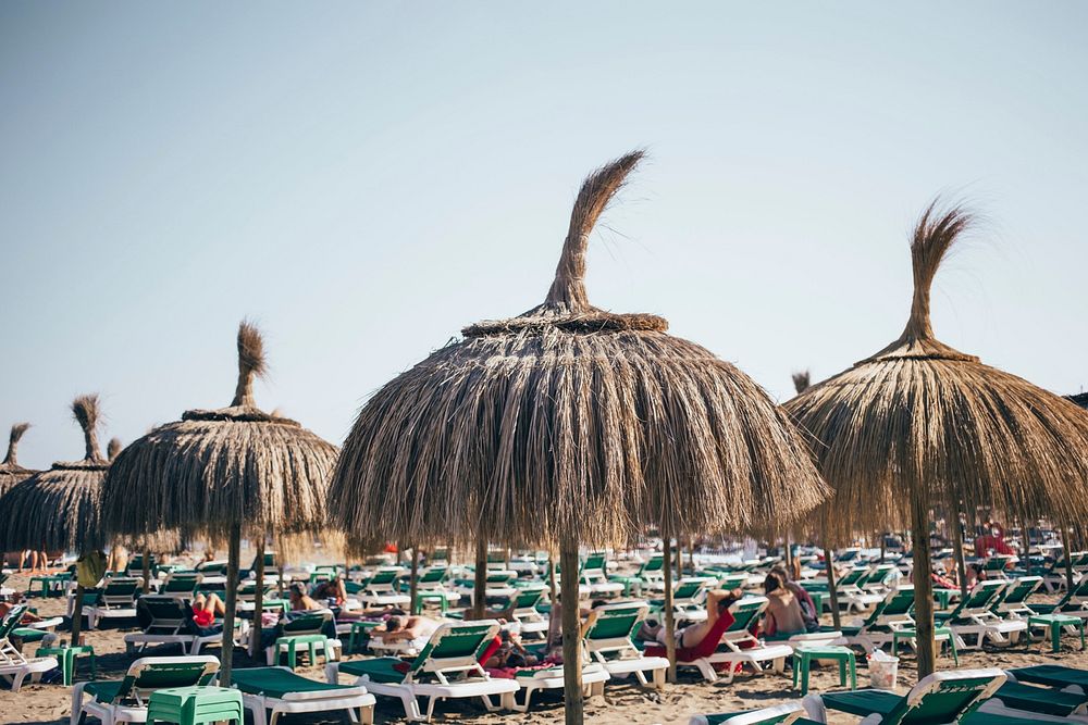 Grassy beach resort umbrellas stand over rows of beach lounge chairs.