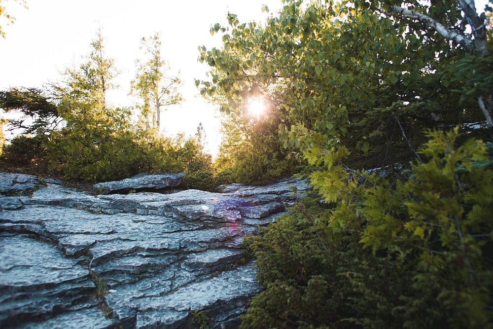 The sun sets on a rocky landscape surrounded by growth.