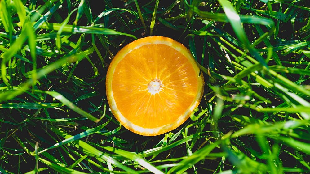 An orange sliced in half rests in green grass.