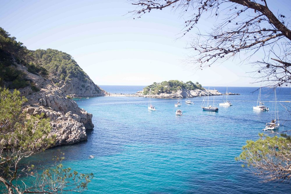 Free sailboat in blue sea image, public domain CC0 photo.