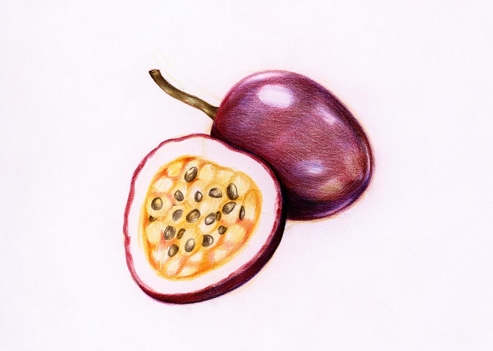 Hand drawn passion fruit illustration