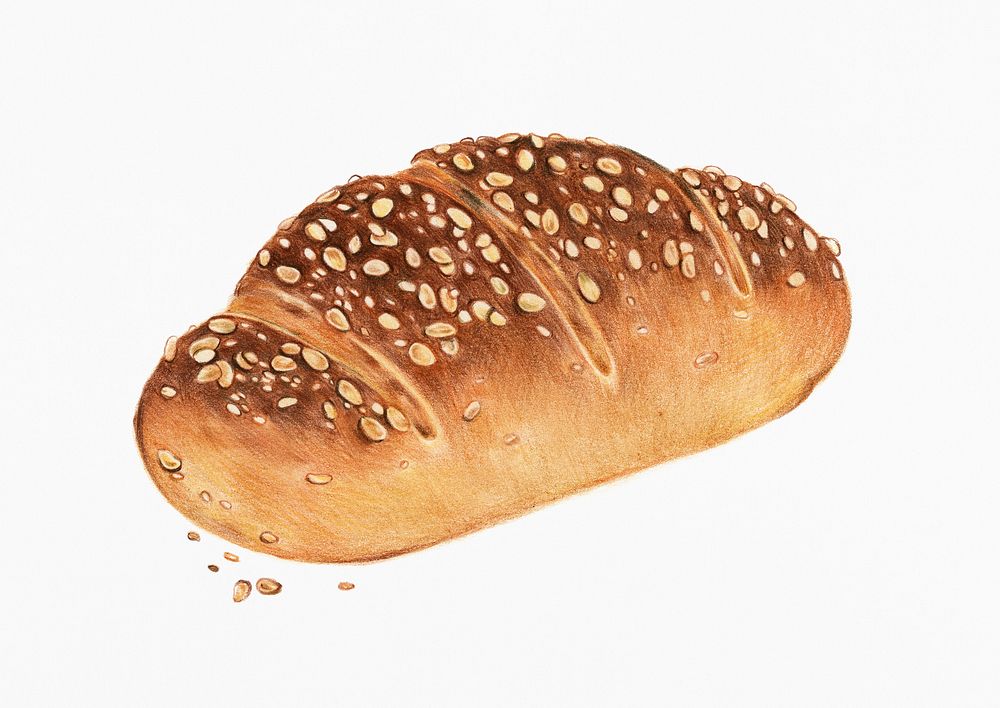 Freshly baked multigrain bread hand-drawn illustration