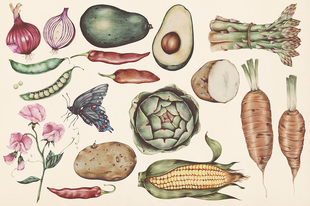 Hand drawn vegetables set illustration
