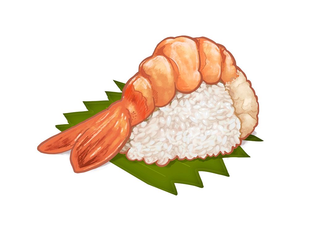 Hand drawn Japanese shrimp sushi or ebi nigiri