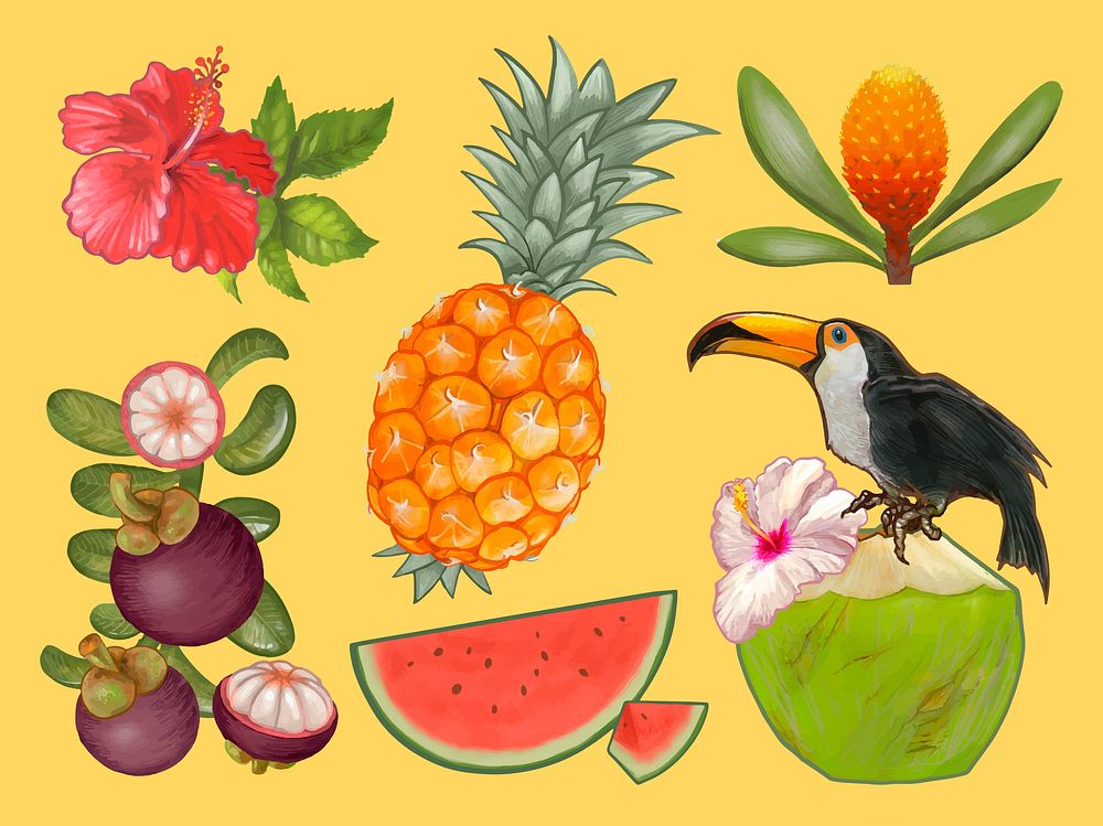 Tropical fruits and flower illustration