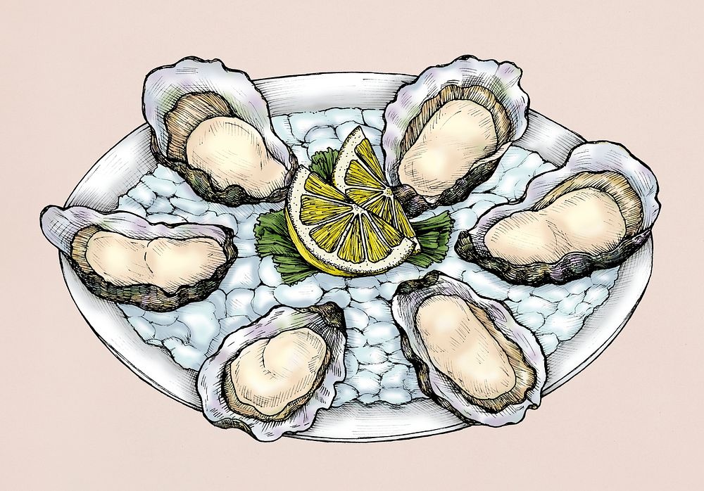 Hand drawn oyster salt-water bivalve platter