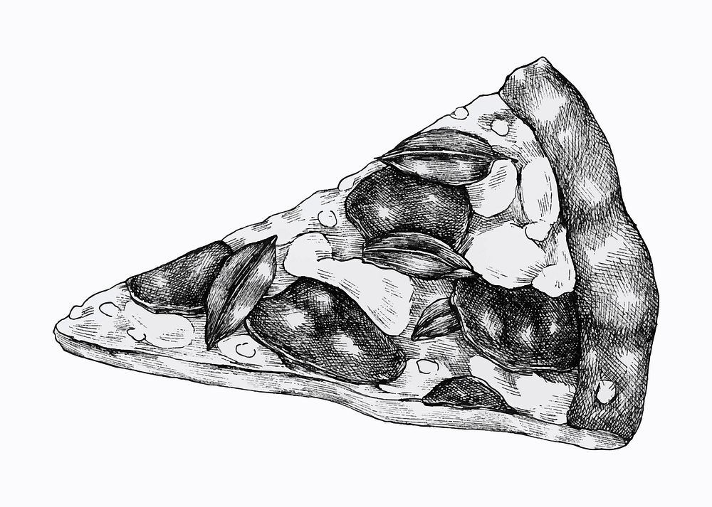 Hand drawn slice of pizza vector