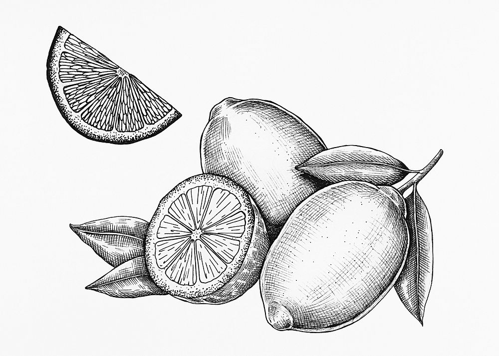 Hand drawn fresh lemons set