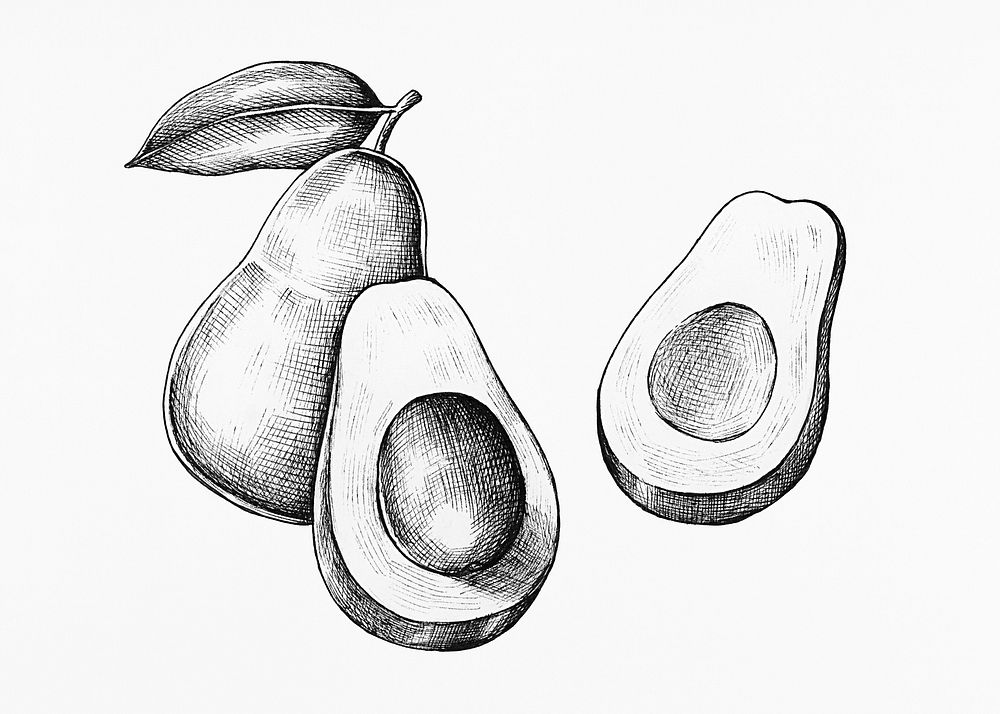 Hand drawn fresh avocado in black and white