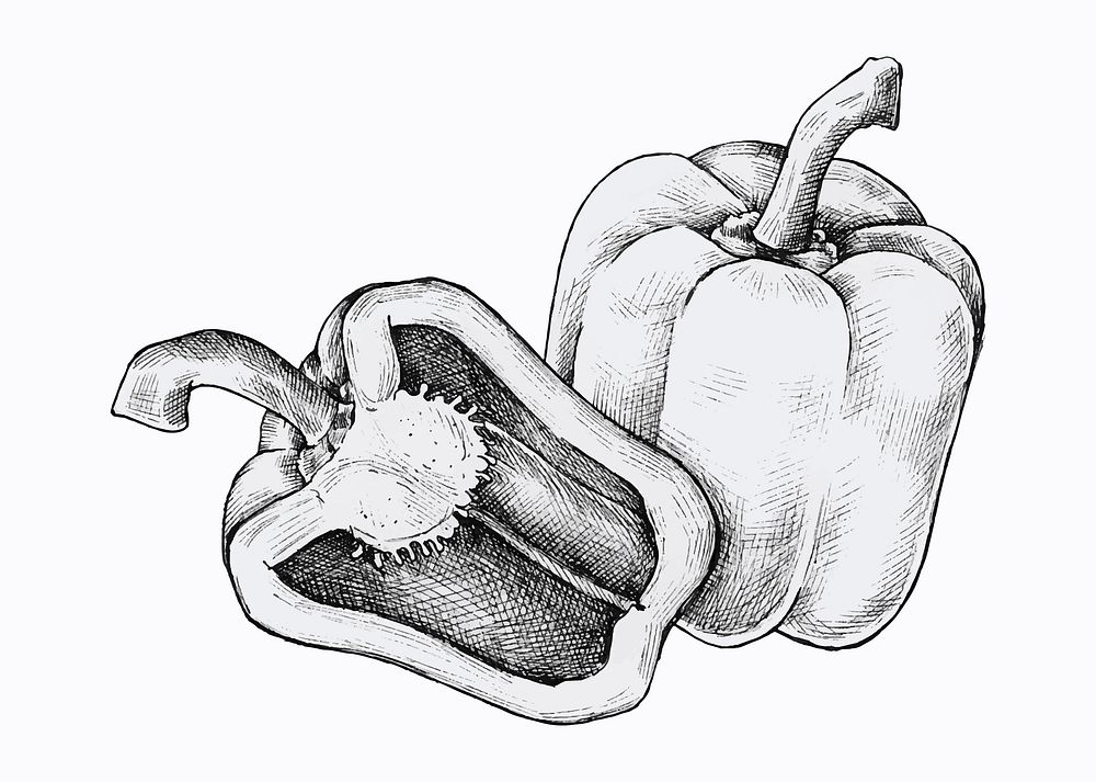 Hand drawn fresh bell peppers vector