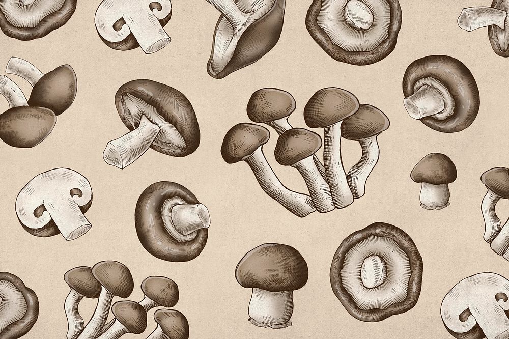 Hand drawn organic mushroom background