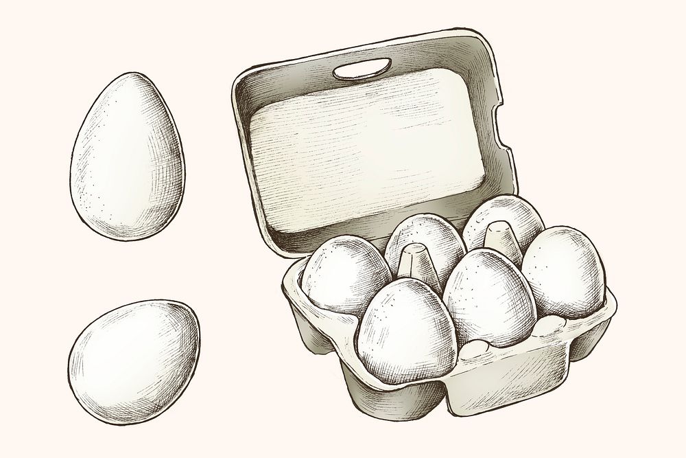 White eggs in a box