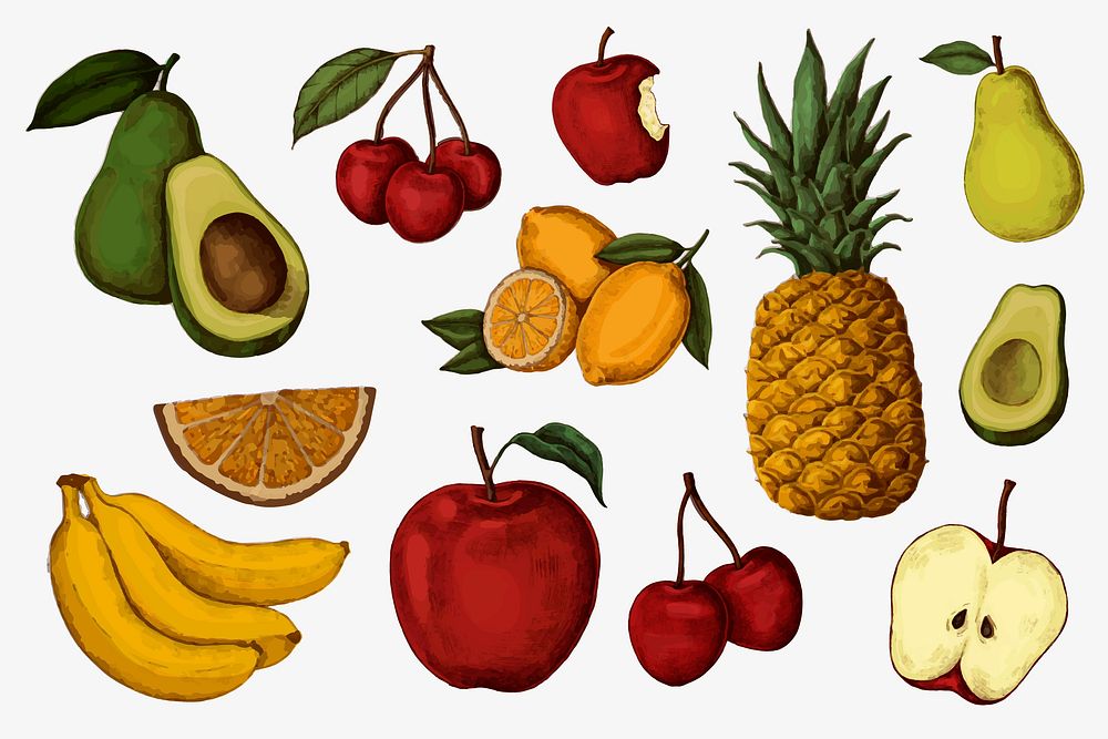 Ripe colorful juicy fruit collection vector