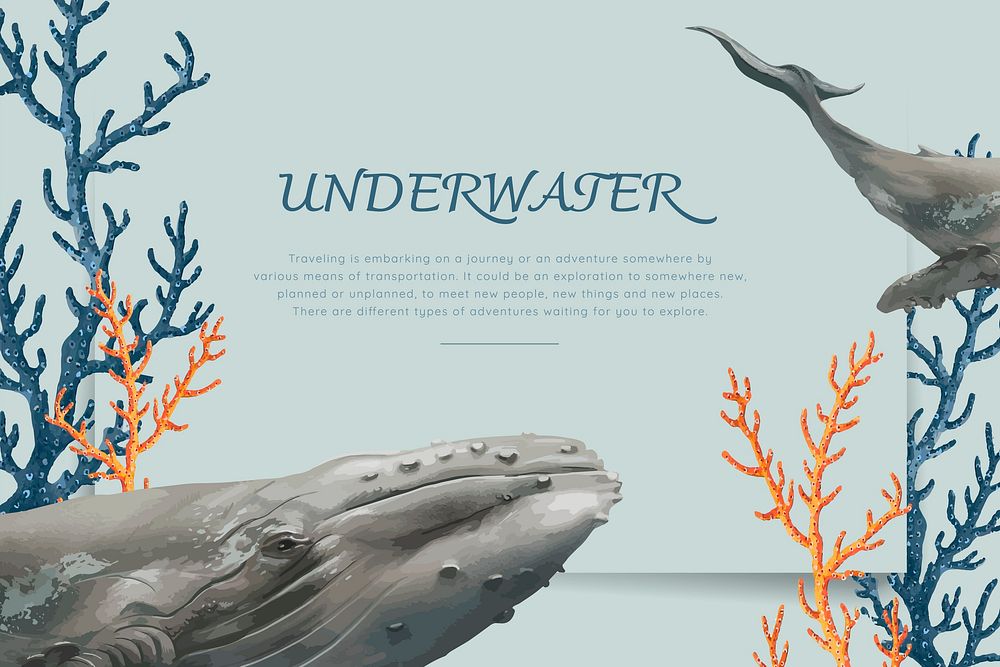 Underwater poster with whales vector