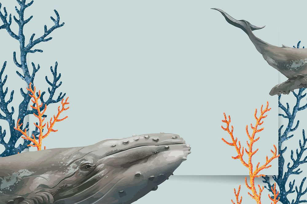 Whales under the sea vector