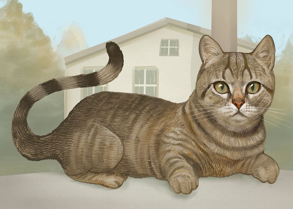 Feline obedient cat sitting illustration