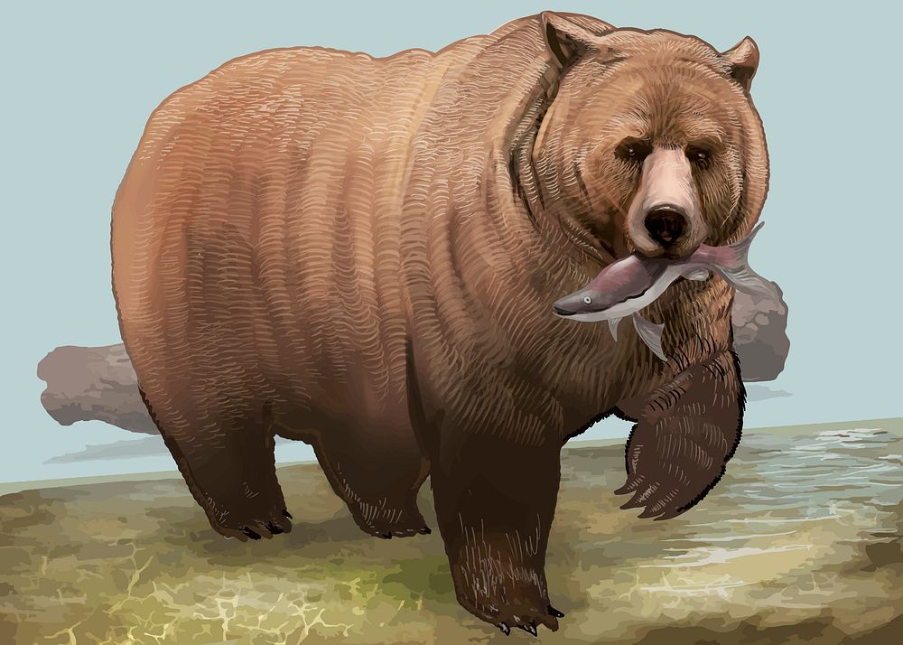 Grizzly bear with fish in his mouth vector