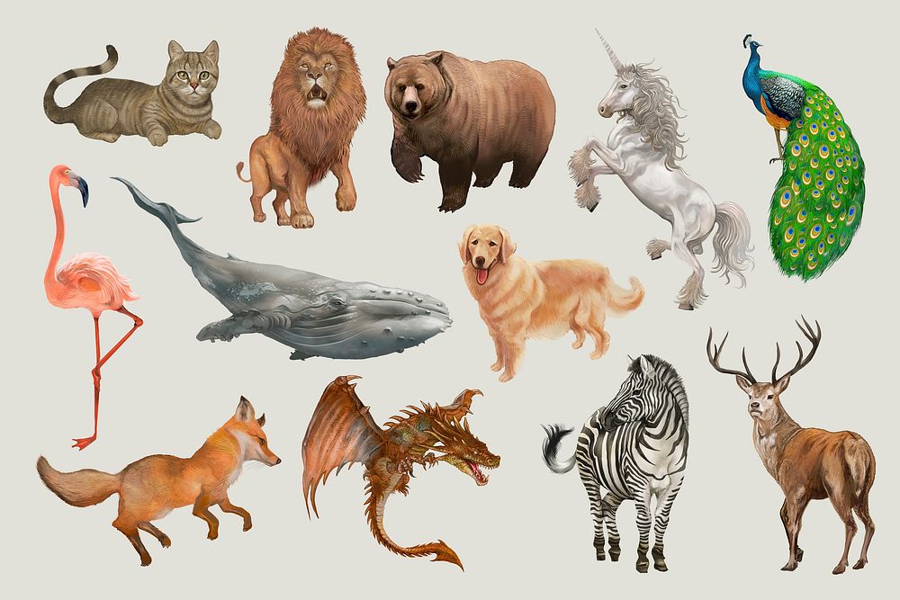 Various wild animals illustration collection