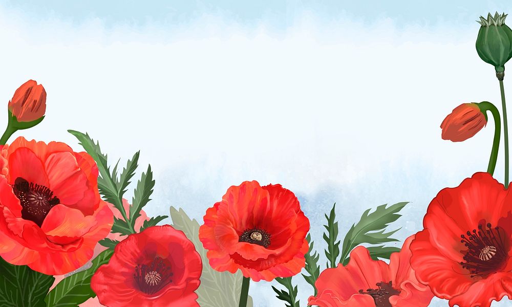 Spring background psd with poppy border