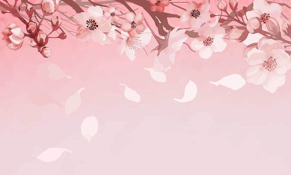 Hand drawn cherry blossoms on a pink background vector
