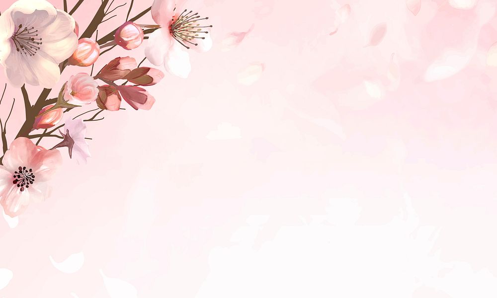 Hand drawn cherry blossoms on a pink background vector