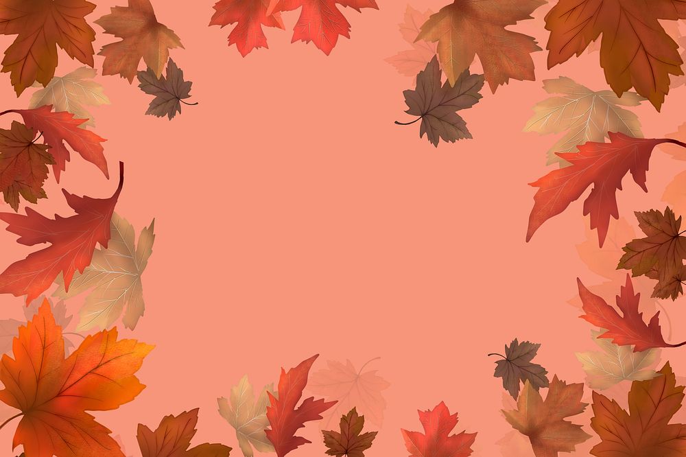 Red maple leaf framed background