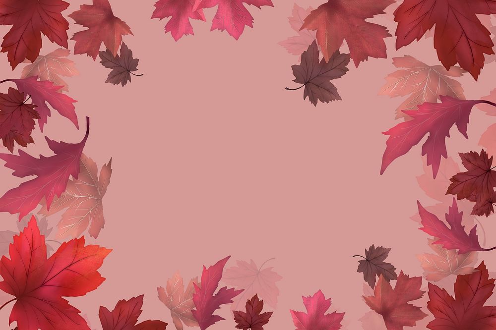 Red maple leaf framed background