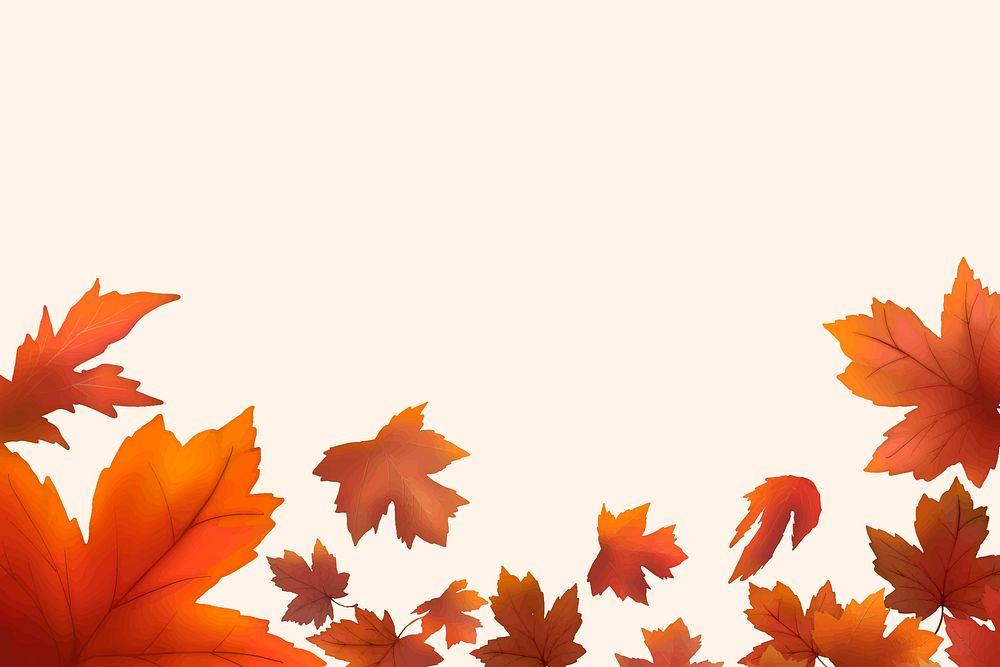 Red maple leaf framed background vector