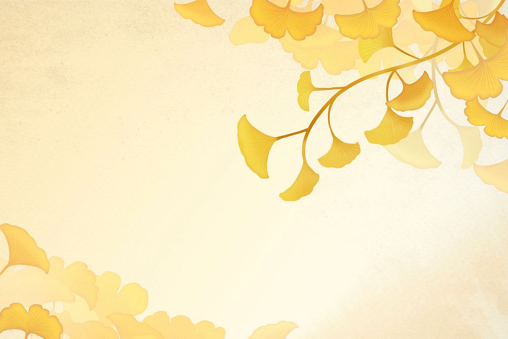 Yellow ginkgo leaf framed background