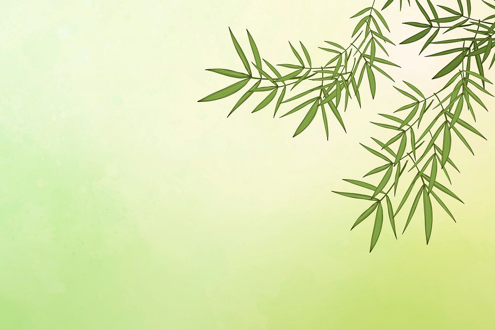 Bamboo leaf elements green background