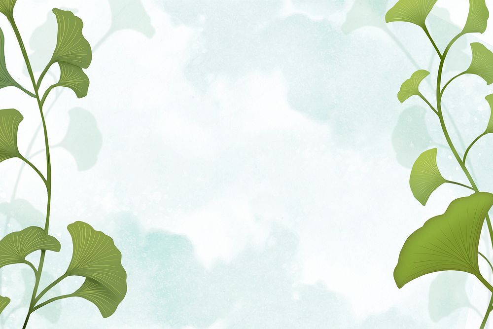 Green ginkgo leaf framed background