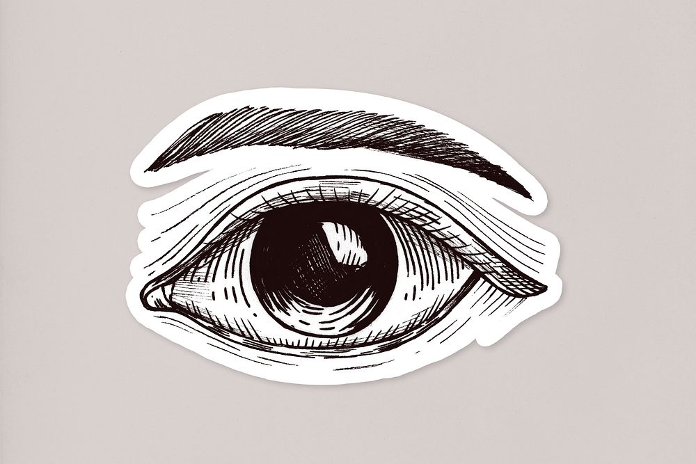 Hand drawn human eye sticker with a white border