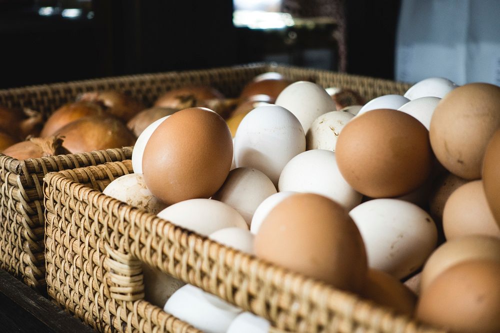 Free fresh eggs in a grocery store image, public domain food CC0 photo.