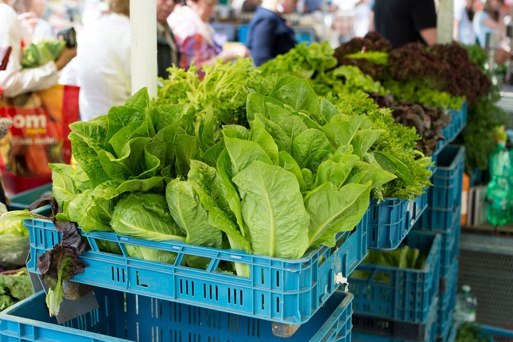 Fresh healthy greens on farmers market