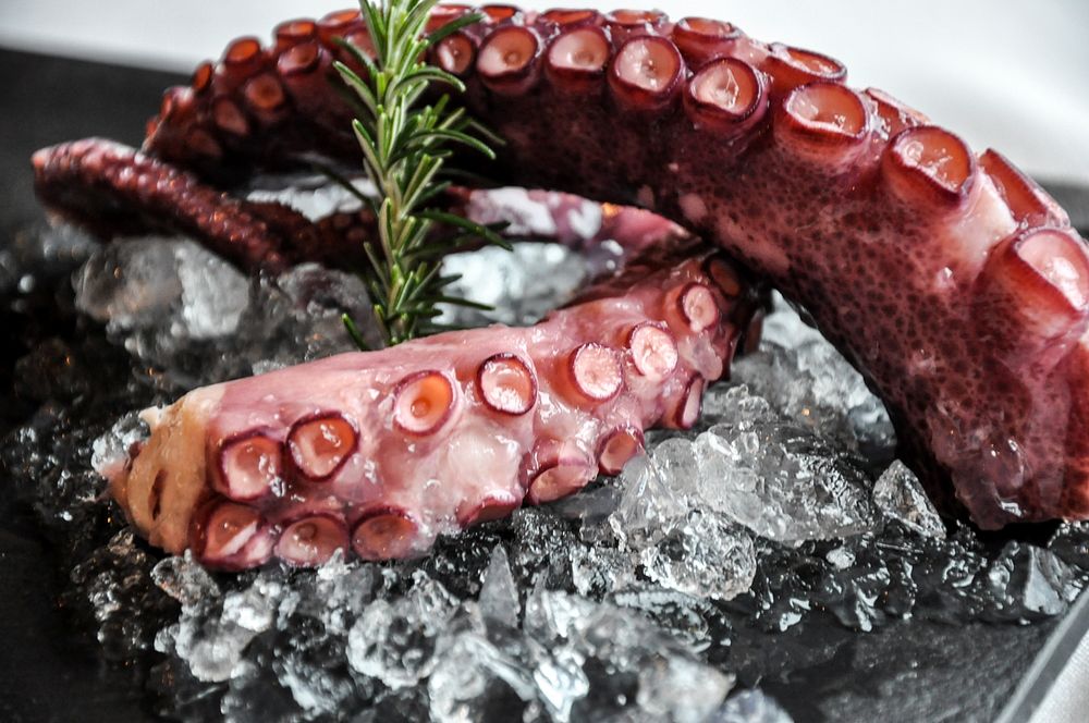 Free octopus tentacles on ice image, public domain seafood CC0 photo.